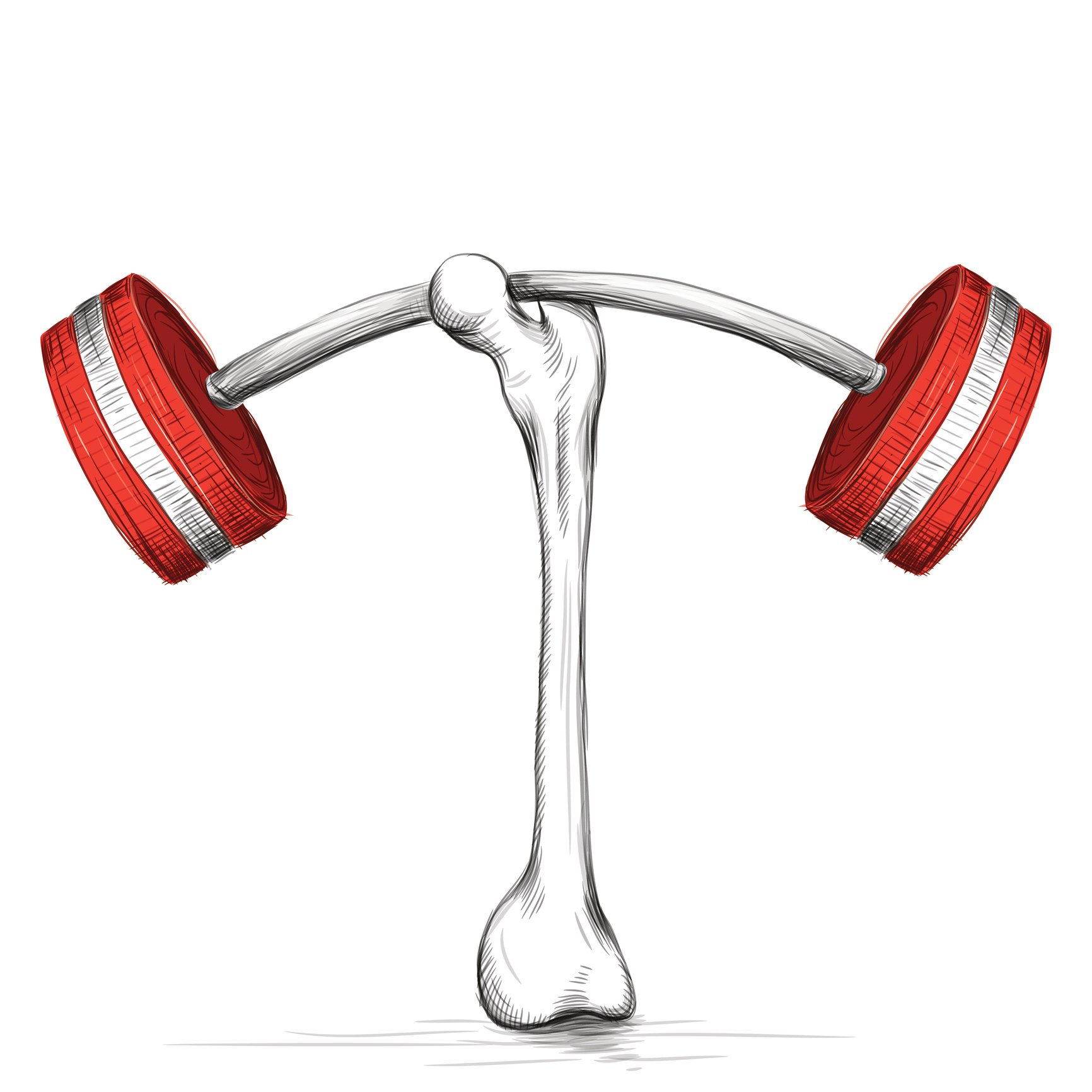 GettyImages-530457183 strong bone